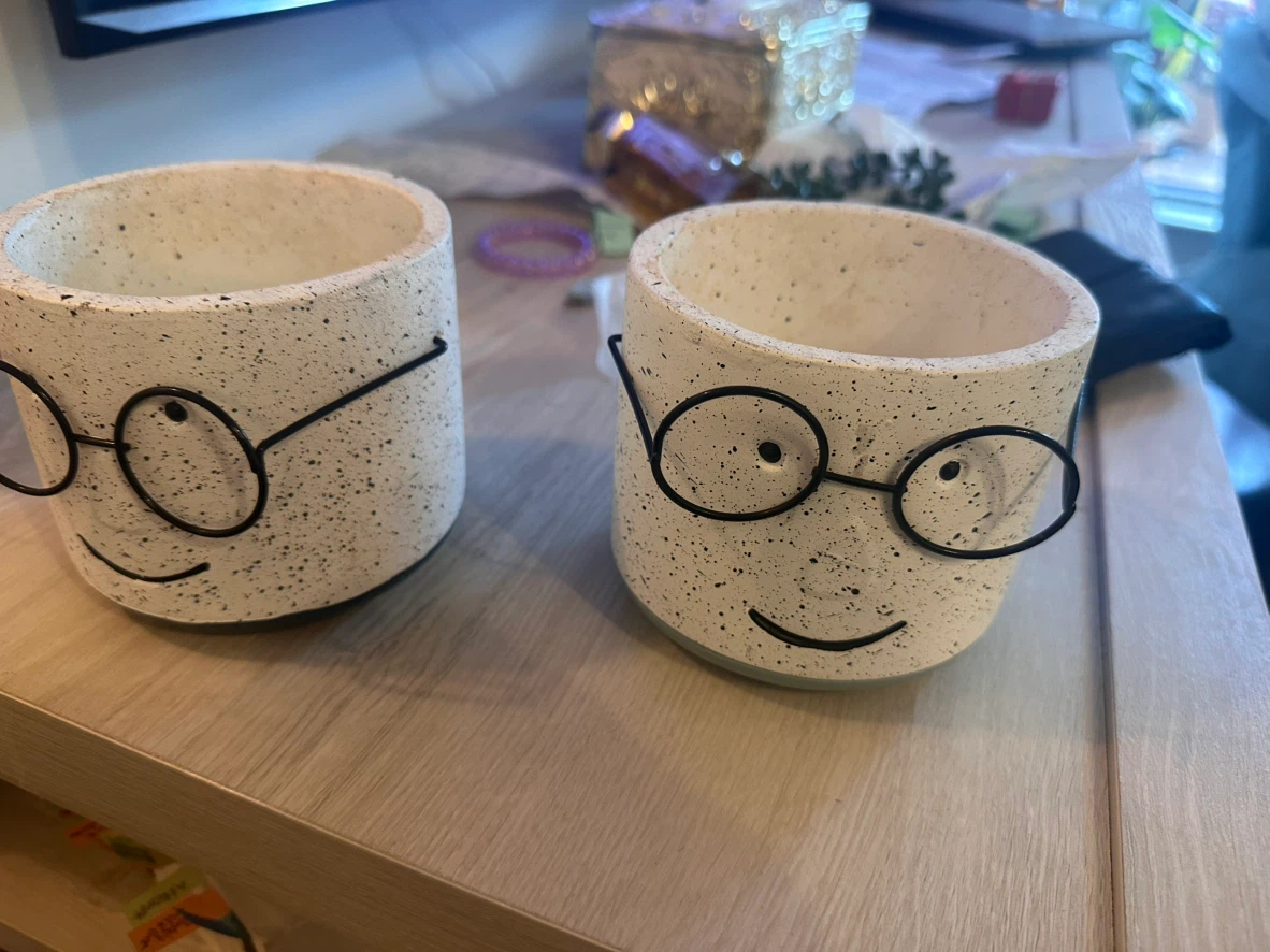 Set of 2 Cute Planters with Glasses - photo 2