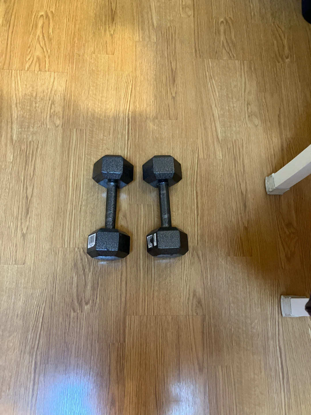 2 x 15 lb Dumbbells