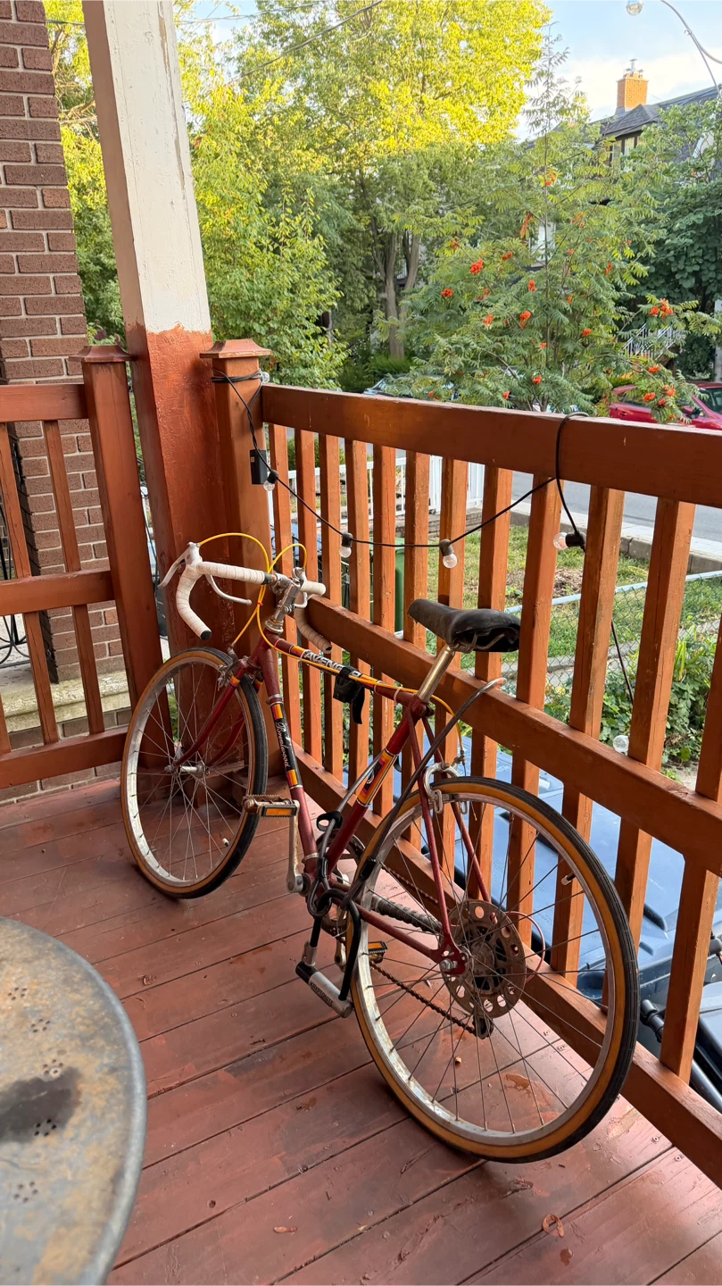 AVENGER Road Bicycle