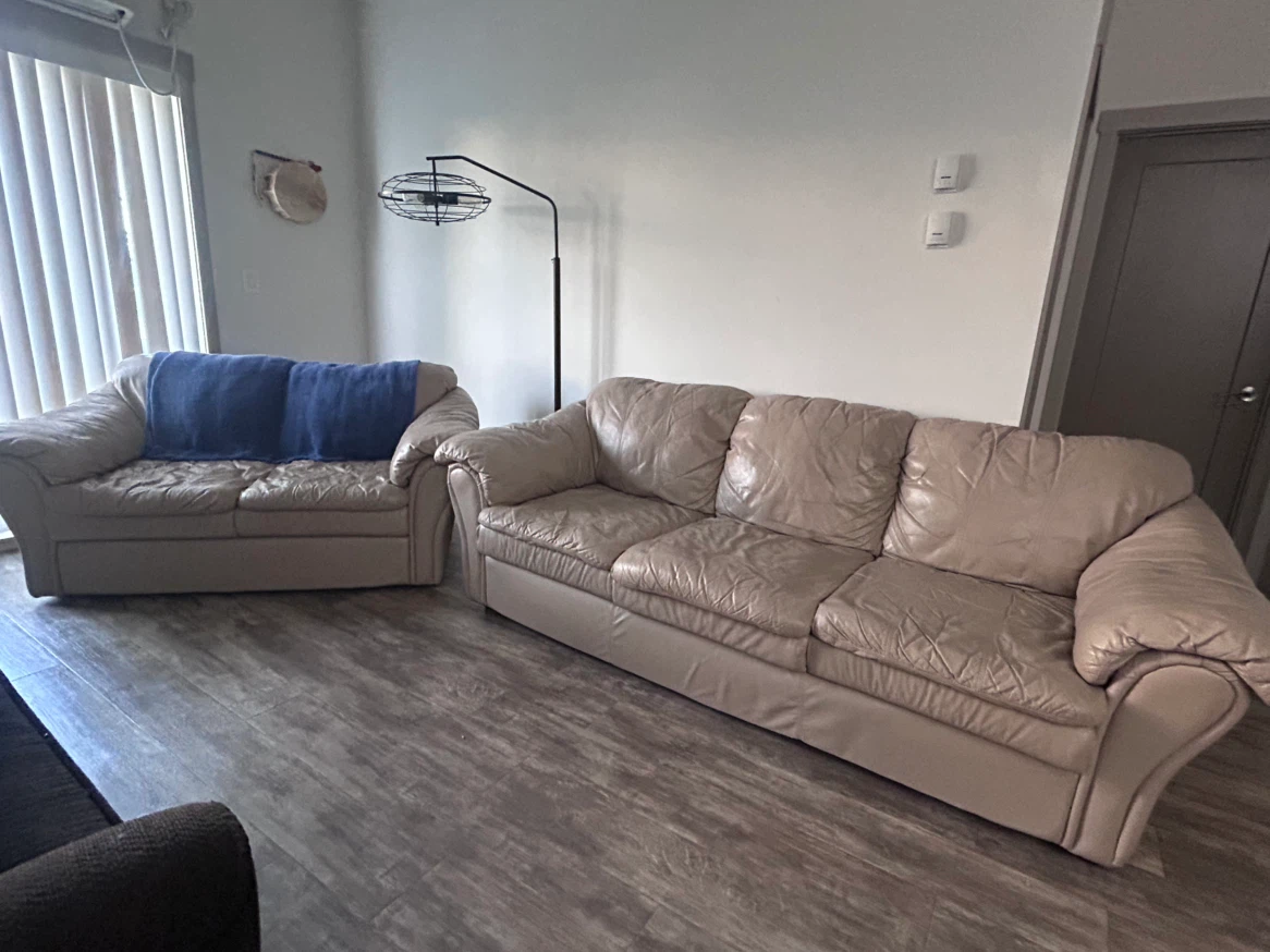 Leather Sofa Set - Loveseat and 3-Seater