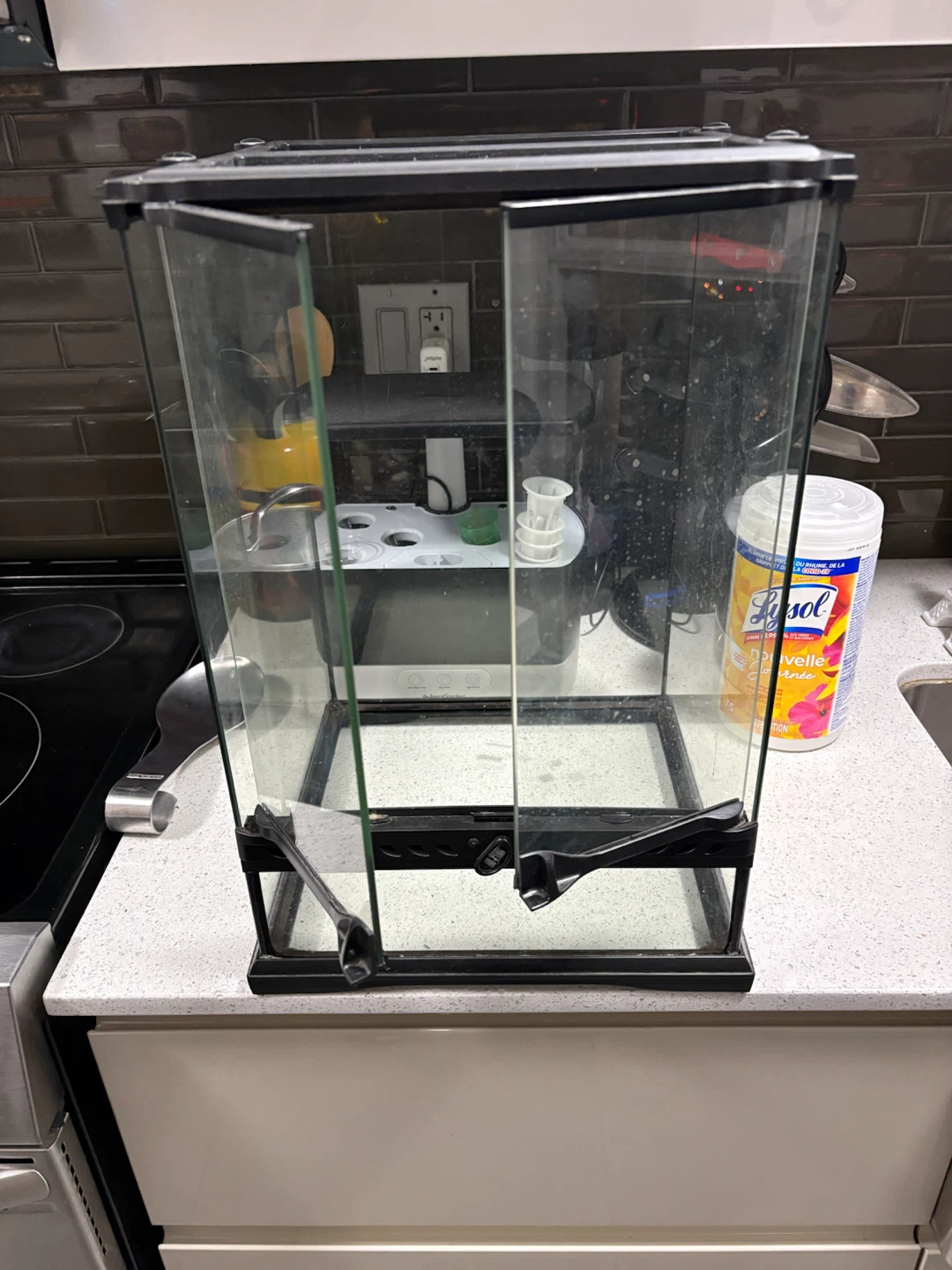 Exo Terra Glass Terrarium