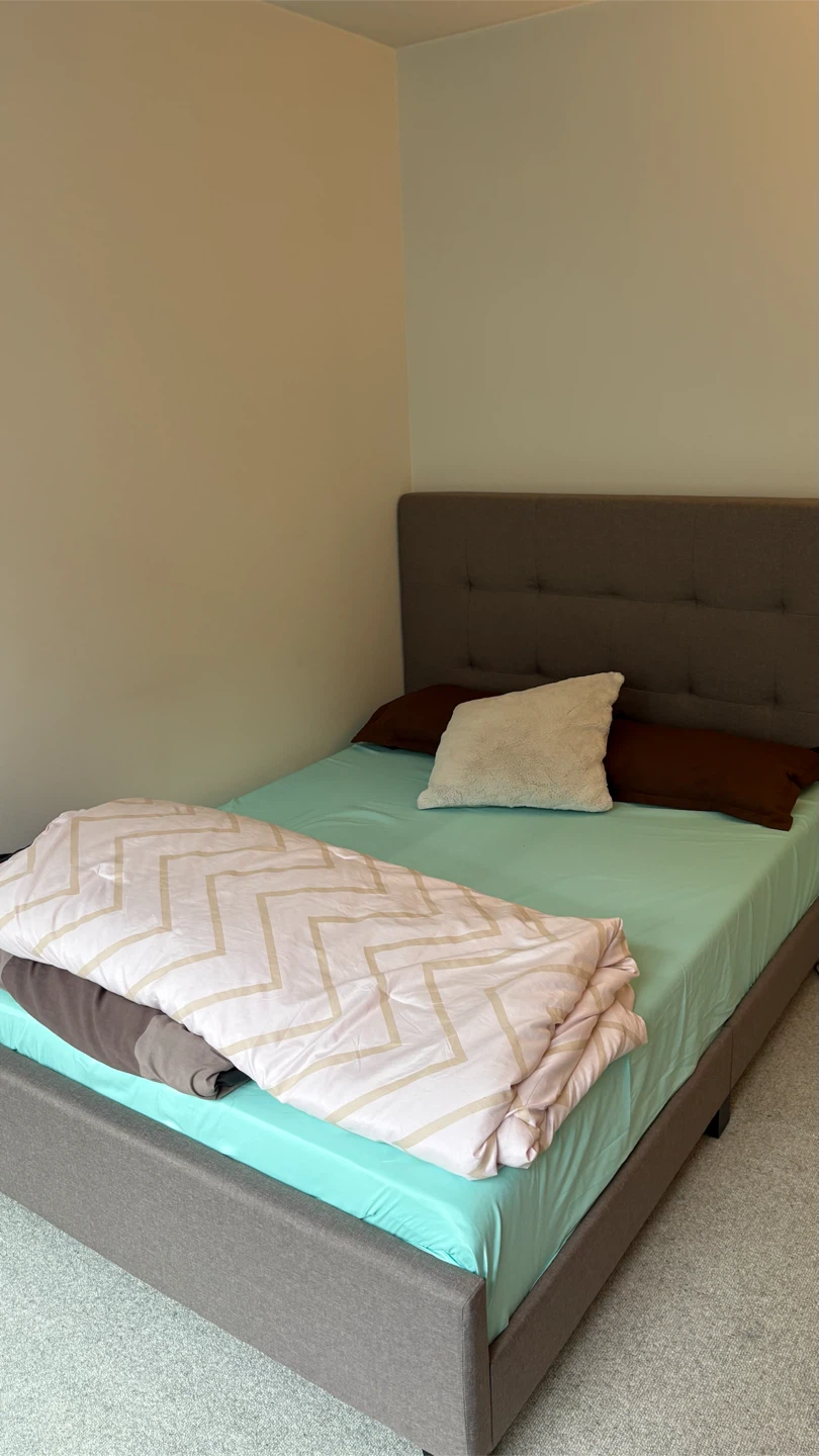 Brand new mattress and cot - DOUBLE SIZE