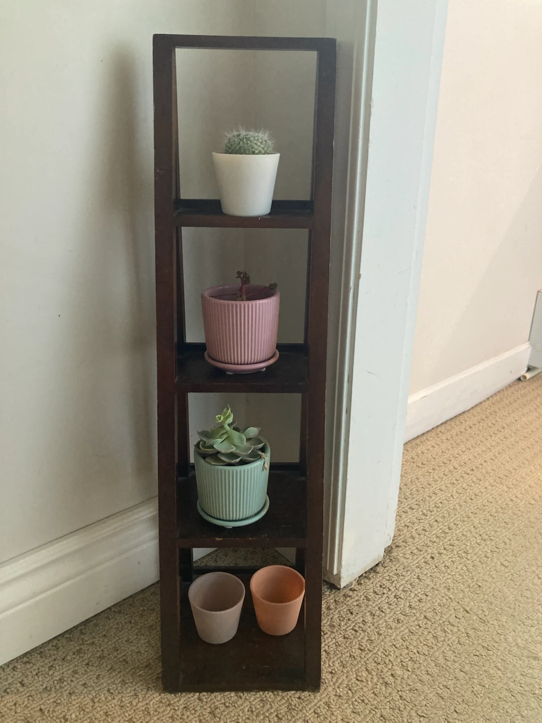 MOVING SALE : Cute plant shelf