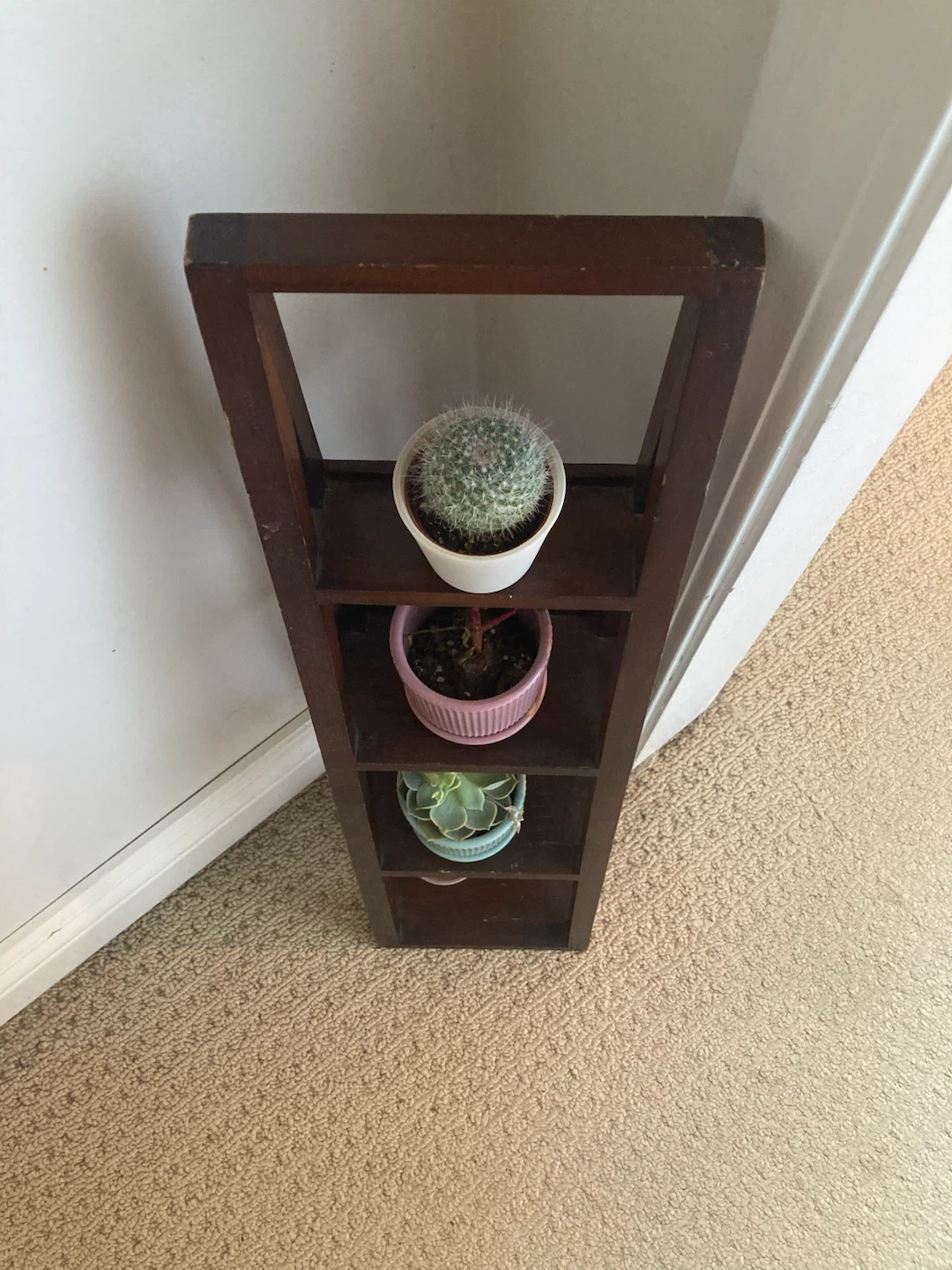 MOVING SALE : Cute plant shelf - photo 2