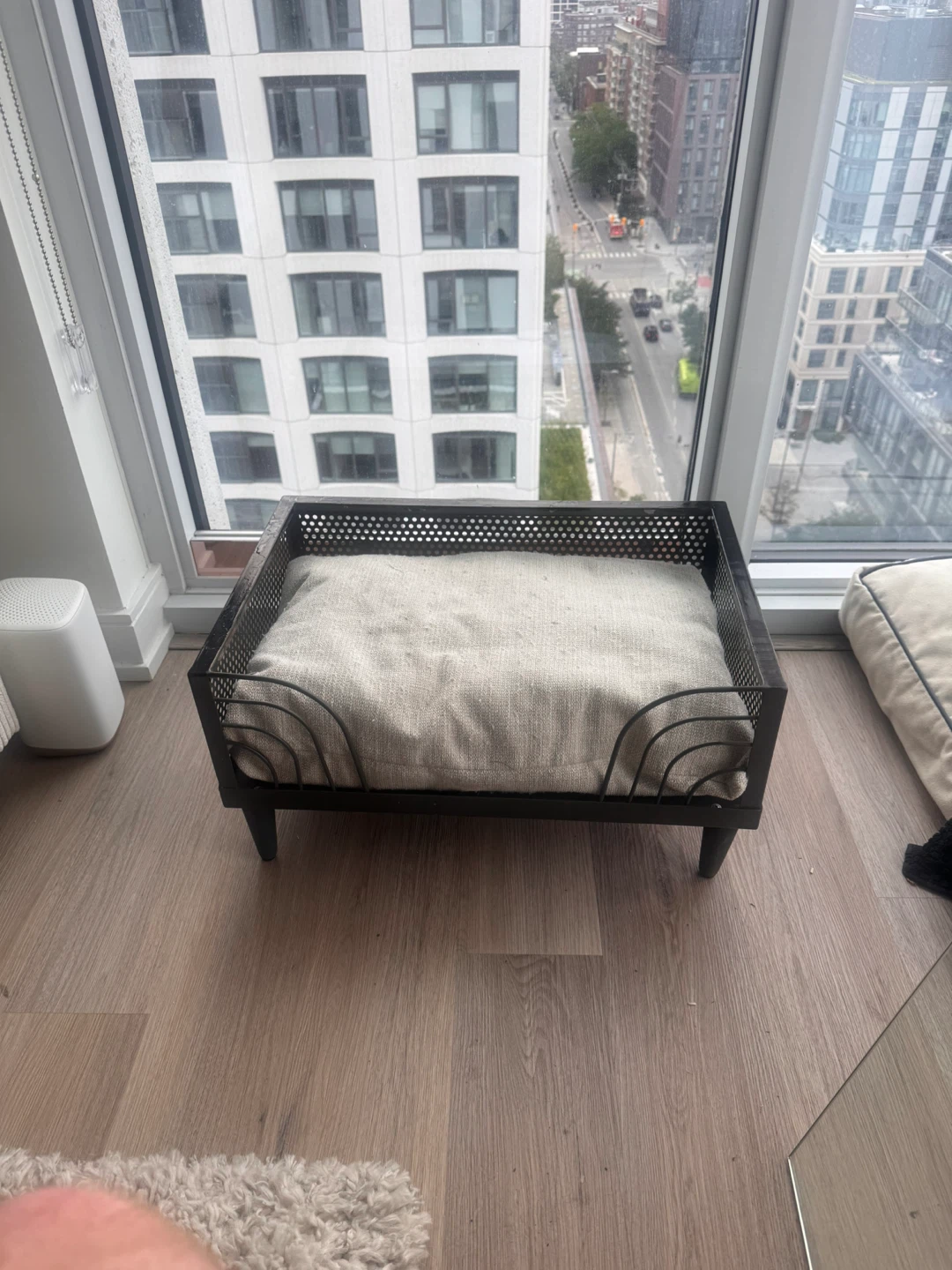 Stylish Black Metal Dog Bed with Cushion