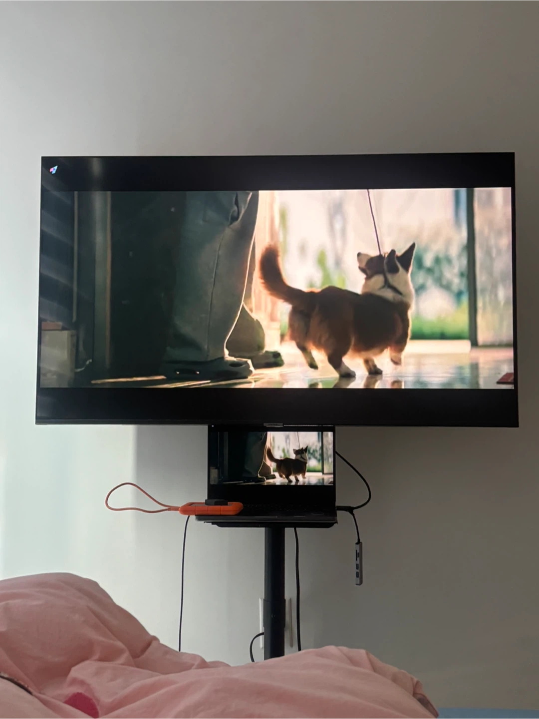 Samsung 55” TV with Stand and Accessories