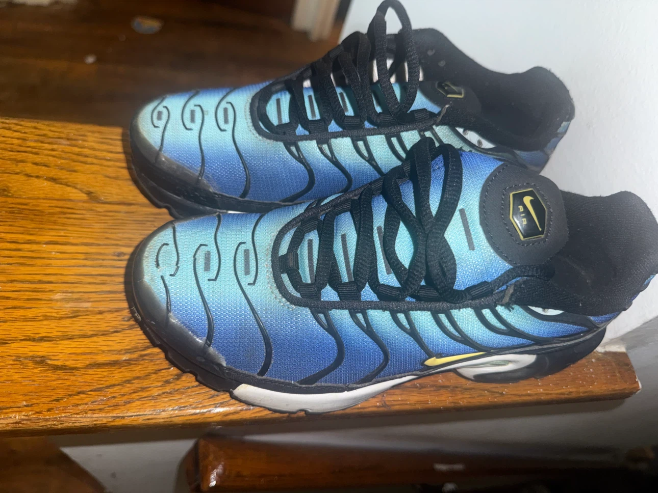 Nike Air Max Plus TN SE Youth Shoes