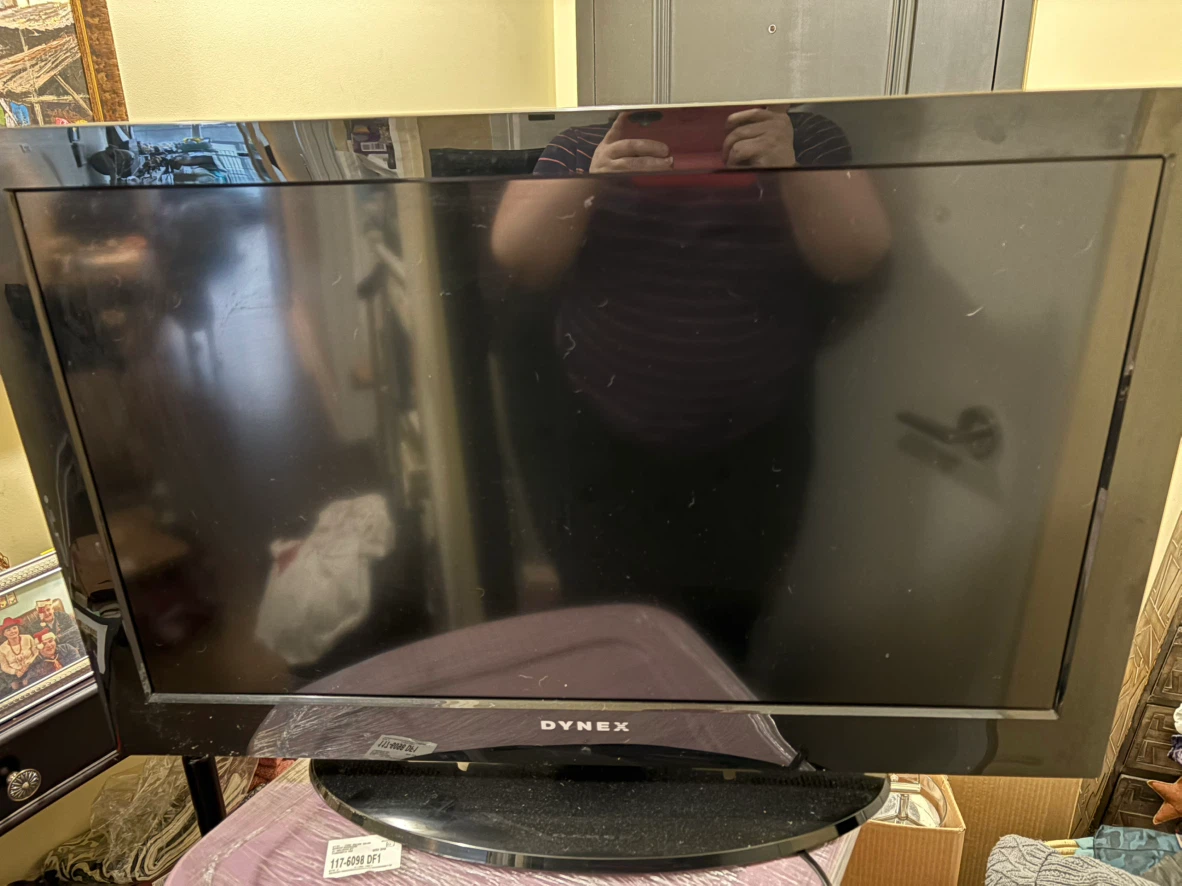 Dynex LCD TV DX-32L100A13