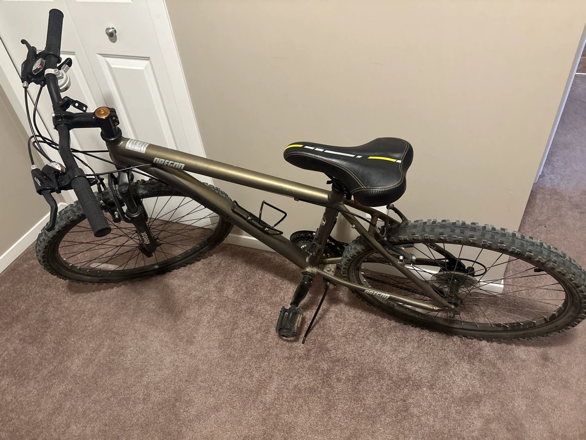 Reebok Mountain Bike