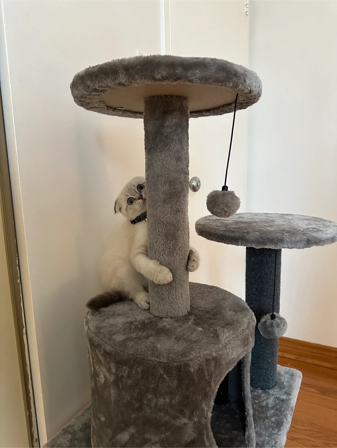 Multi-level Cat Tree with Scratching Post - photo 3