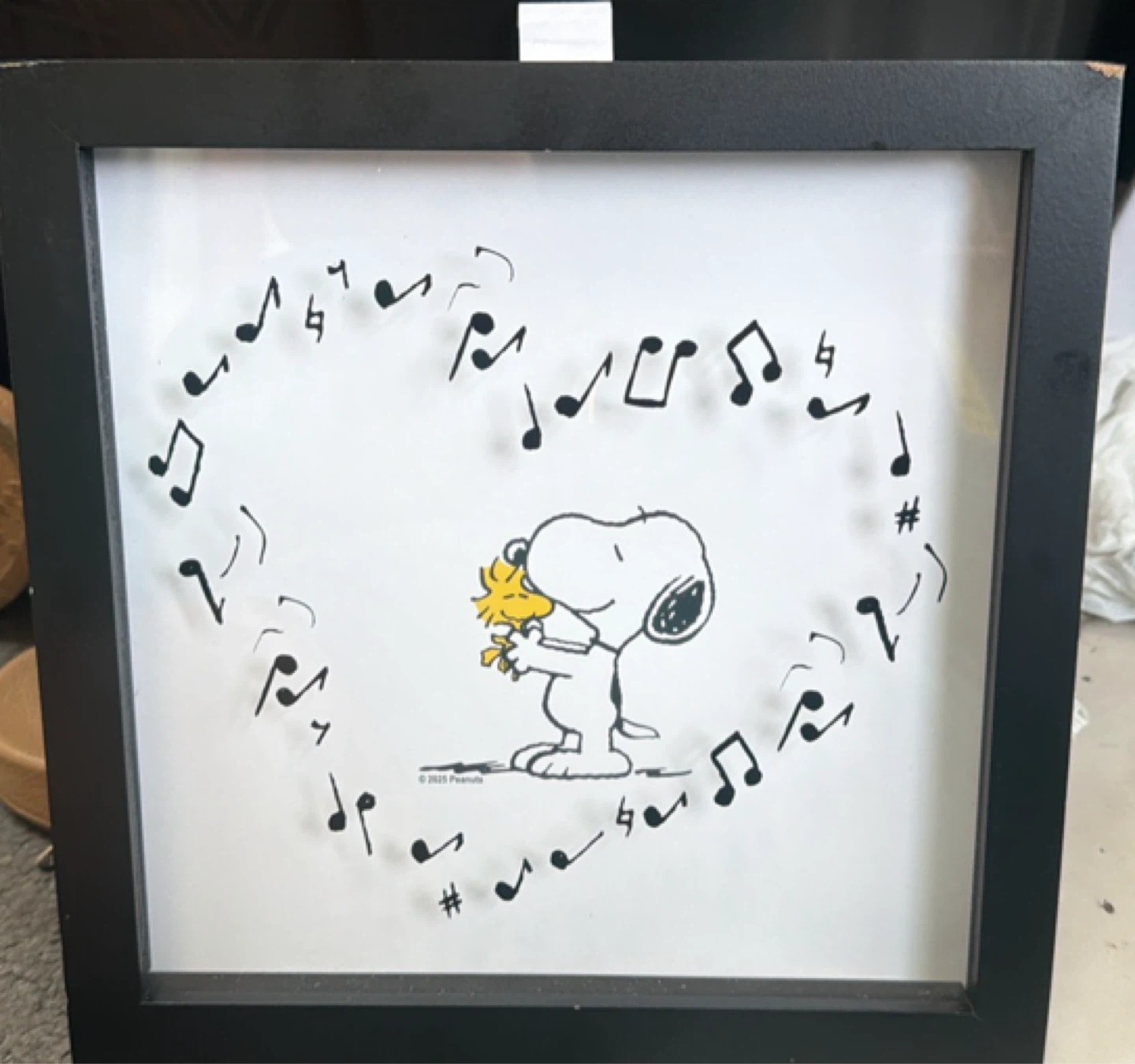 Peanuts Snoopy & Woodstock Framed Art