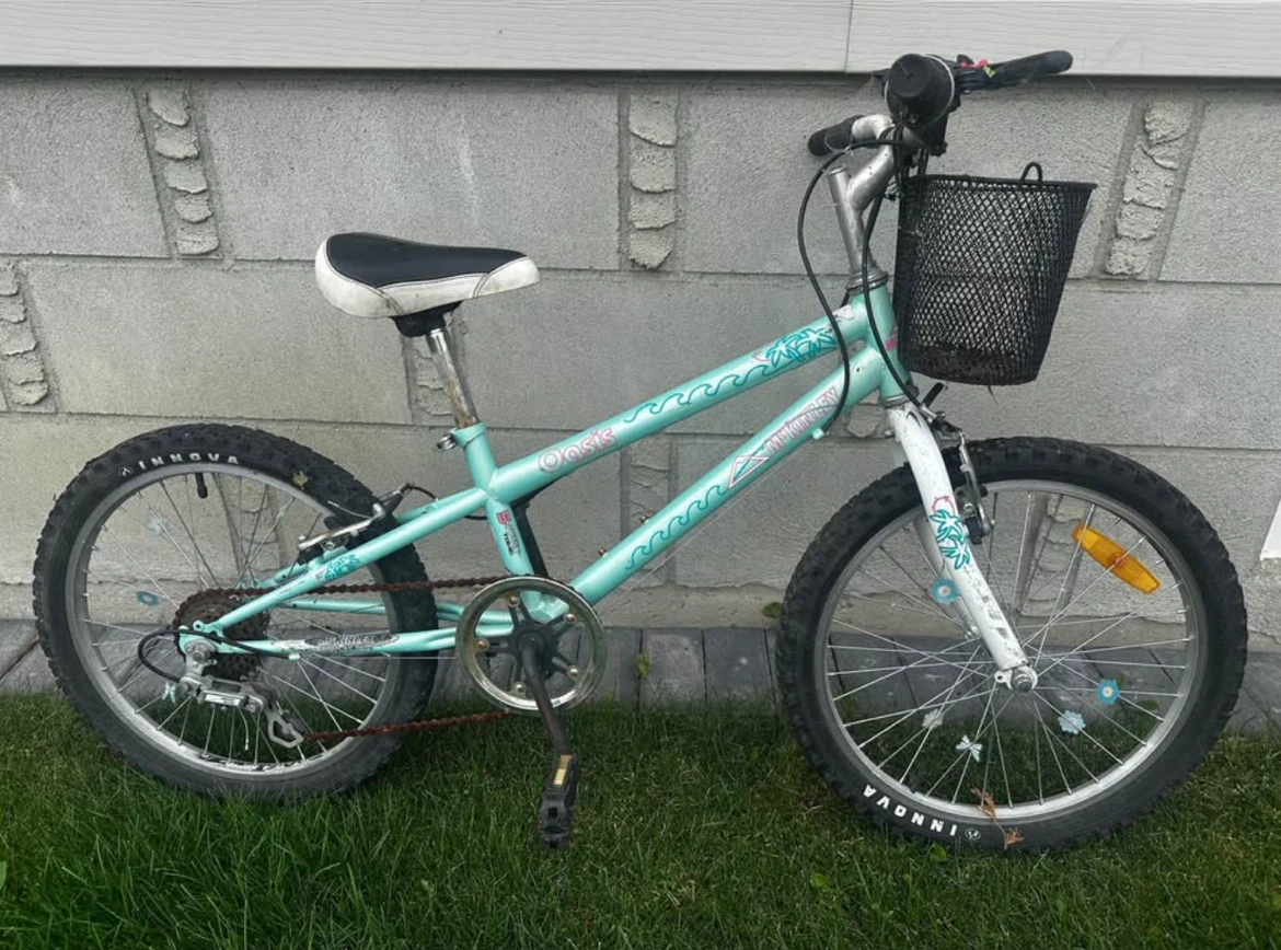 Oasis McKinley Kids Bike with Basket