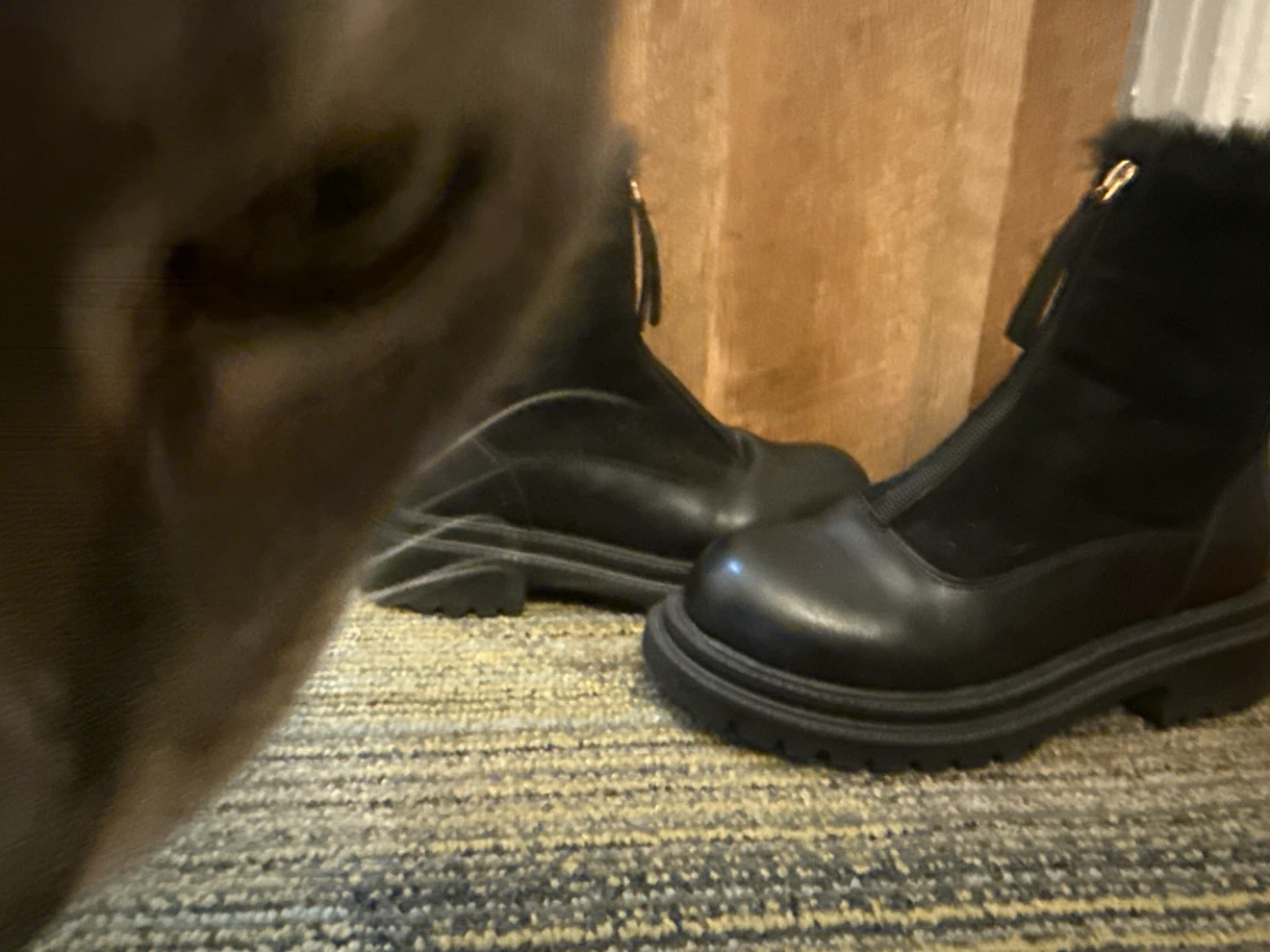 Black Faux Fur Trim Zip-Up Boots(cat not included)