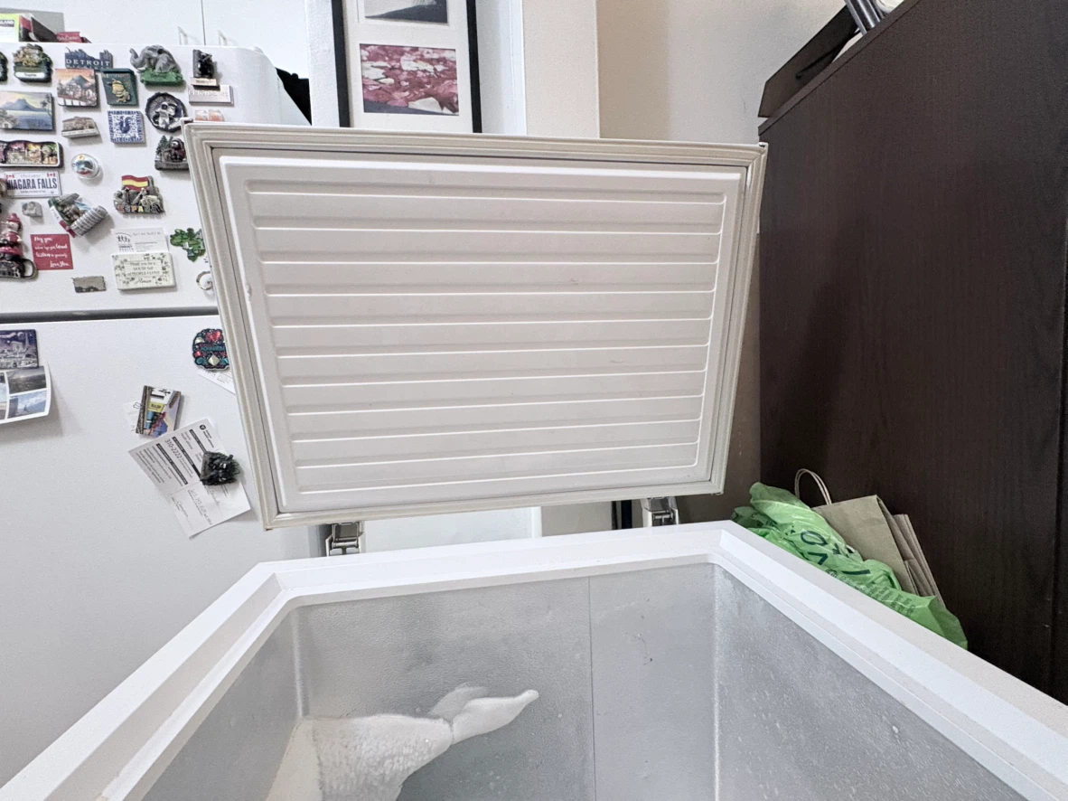 Haier White Chest Freezer - photo 2
