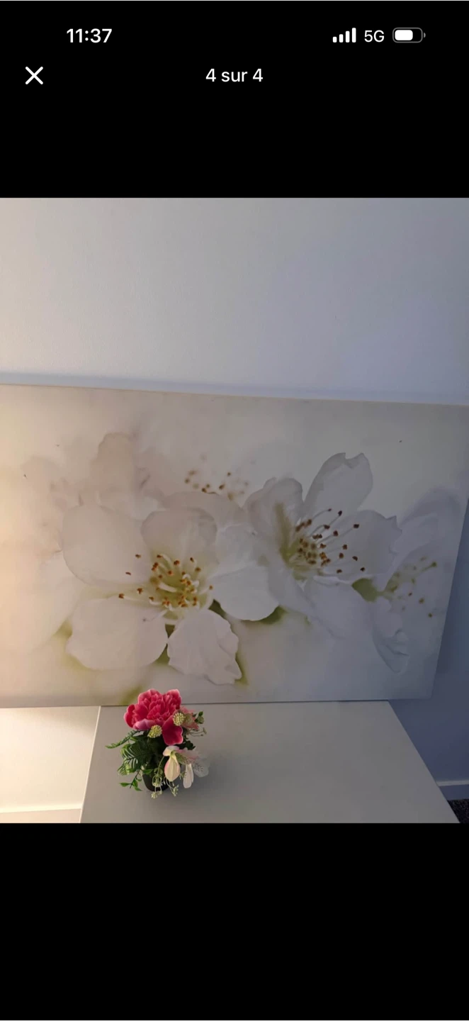 Canvas Wall Art Set - Floral Print