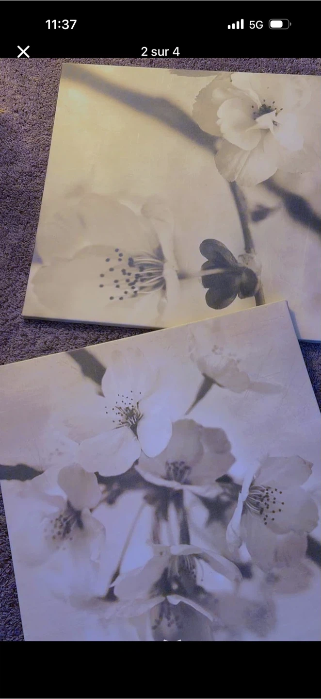 Canvas Wall Art Set - Floral Print - photo 2