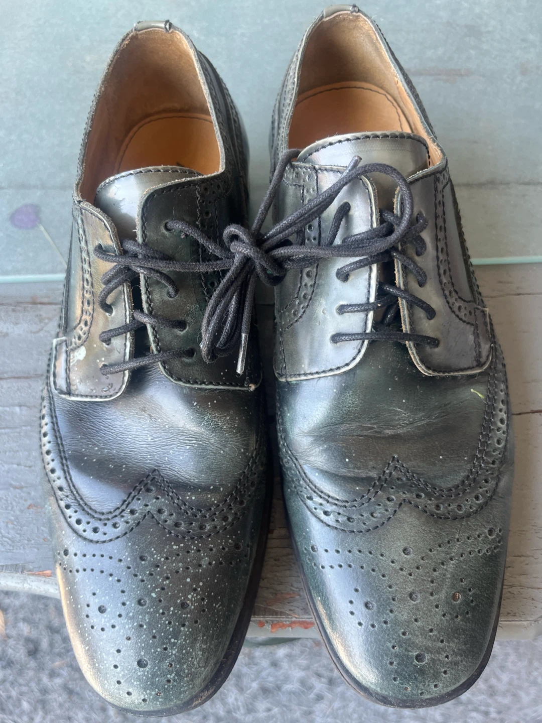 ALDO Wingtip Brogue Shoes