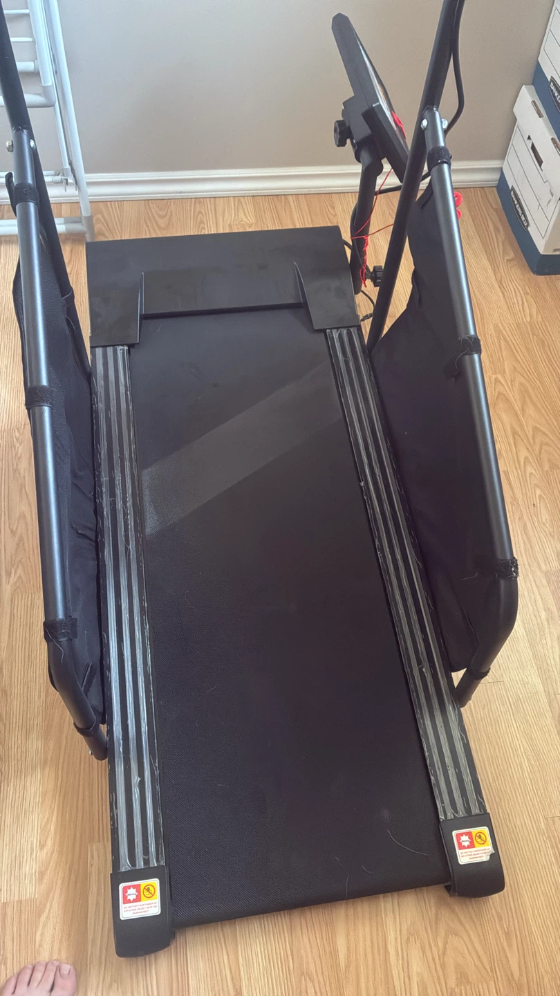 Petsite Treadmill