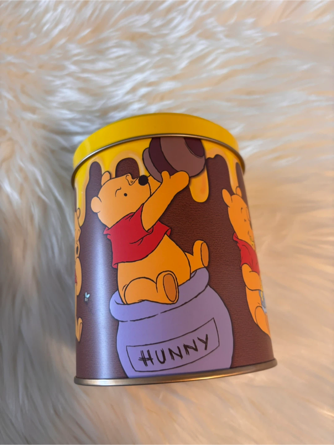 Winnie the Pooh Tin Tokyo Disneyland
