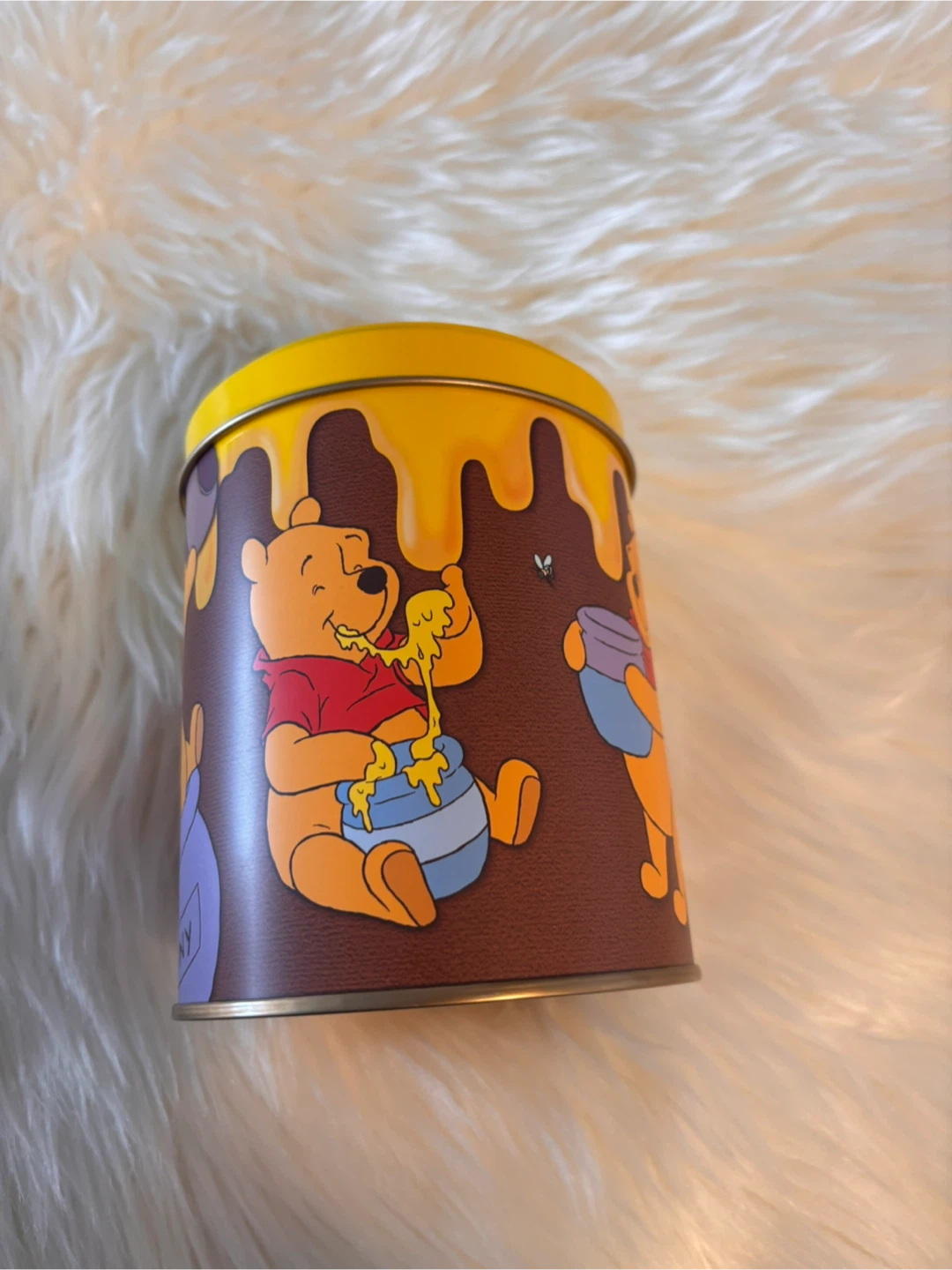 Winnie the Pooh Tin Tokyo Disneyland - photo 2