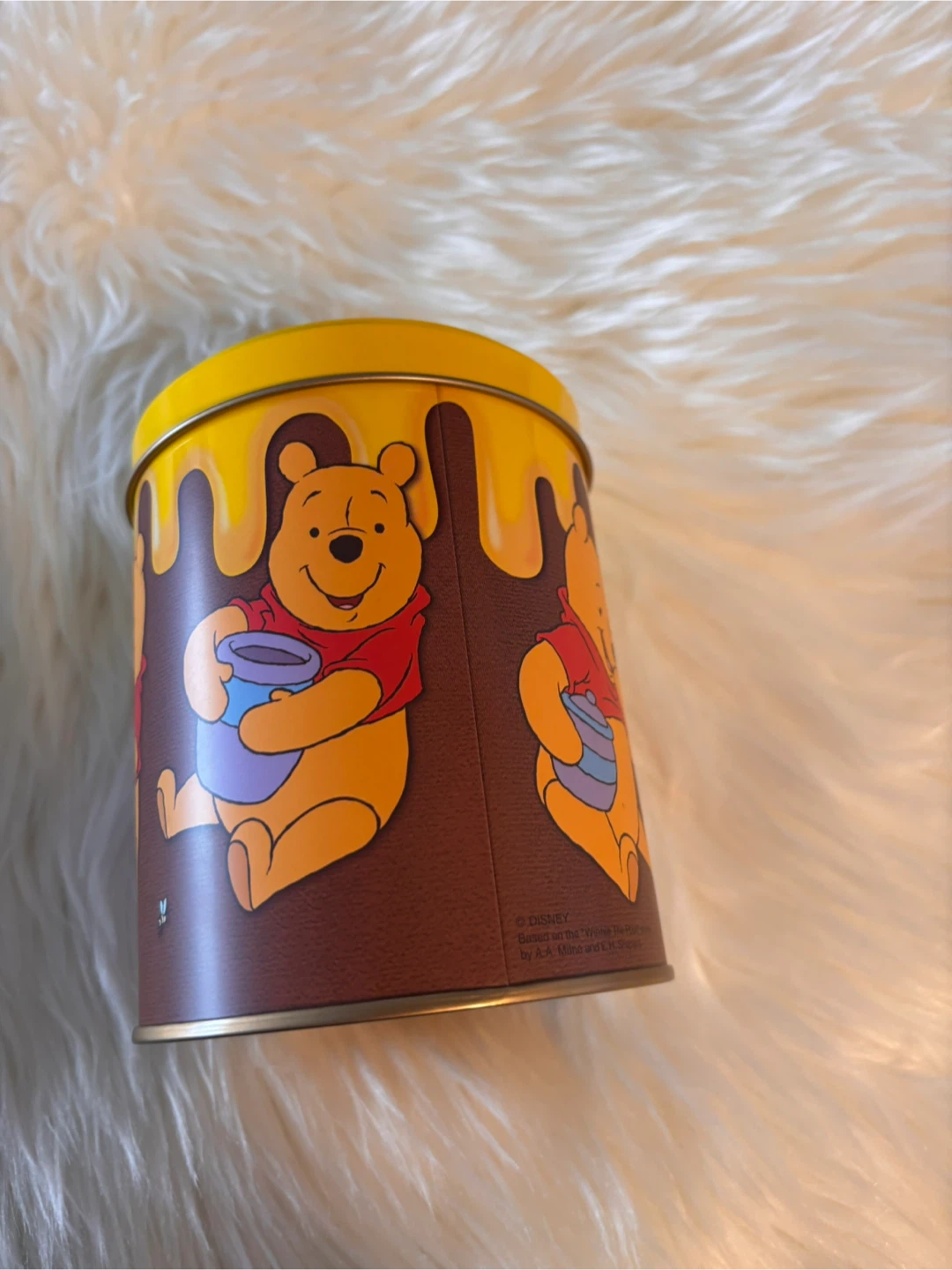 Winnie the Pooh Tin Tokyo Disneyland - photo 4