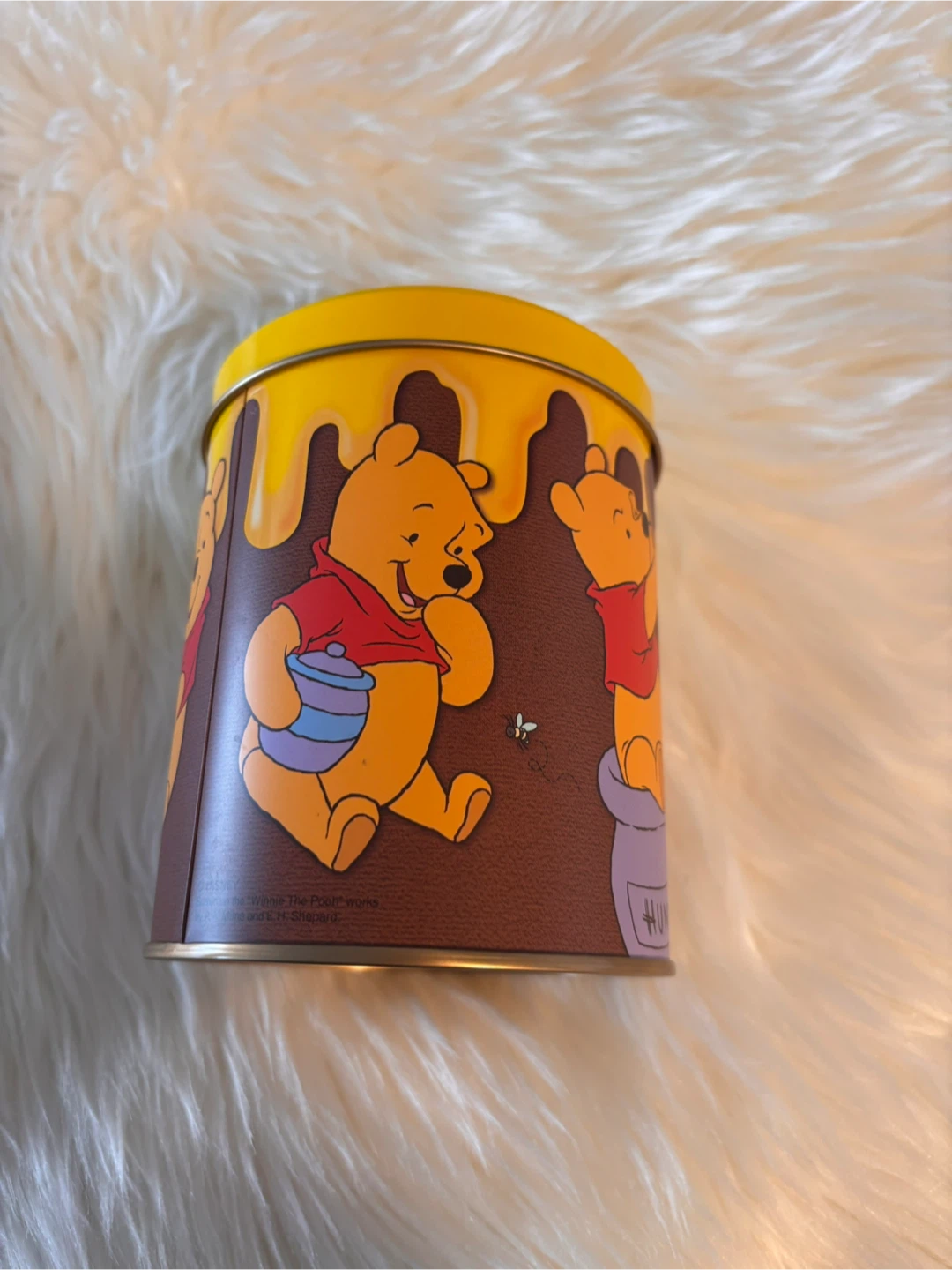 Winnie the Pooh Tin Tokyo Disneyland - photo 5