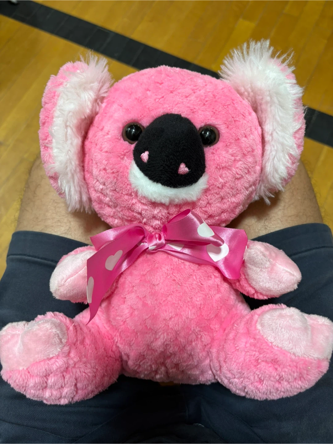Pink Koala Plush Toy