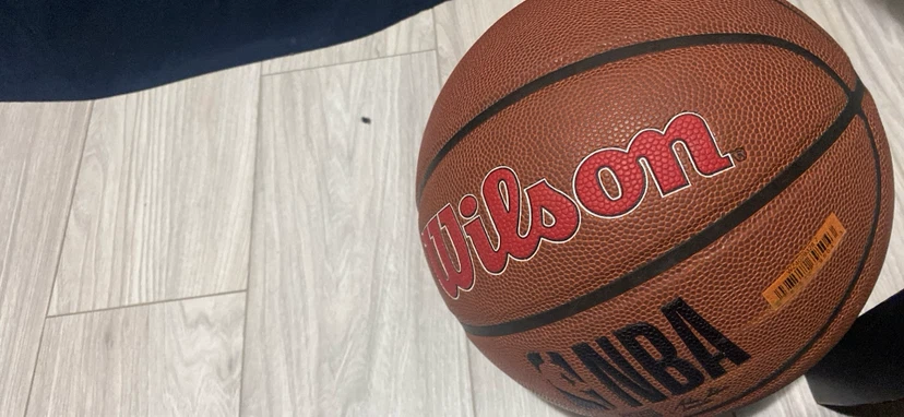 Wilson NBA Basketball - Toronto Raptors - photo 3