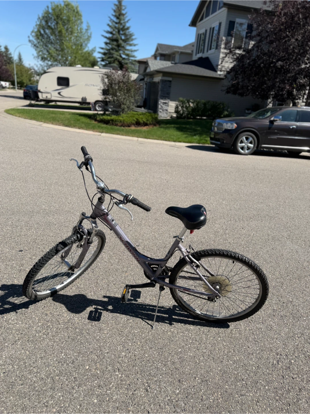 Schwinn Cruiser Bike