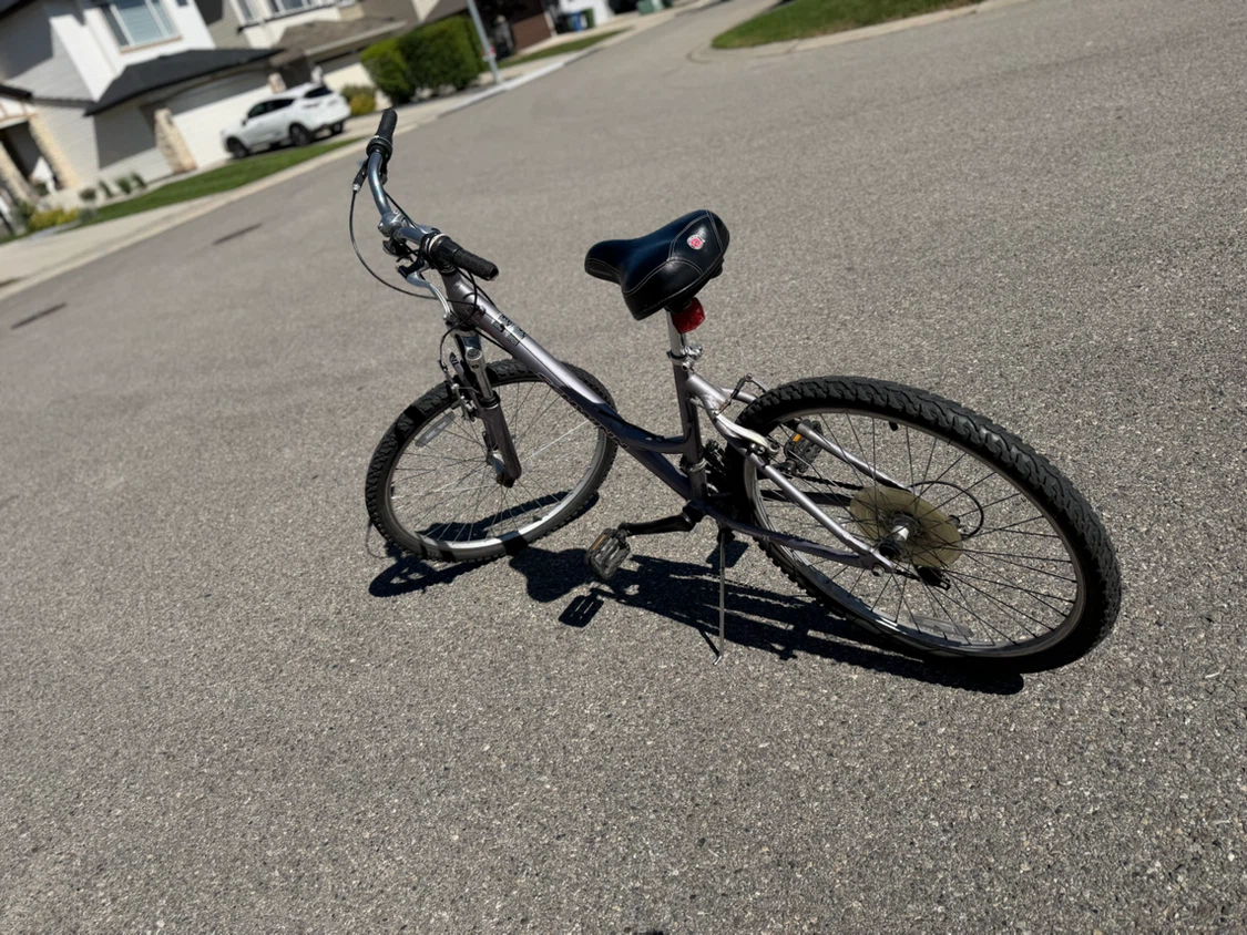 Schwinn Cruiser Bike - photo 2