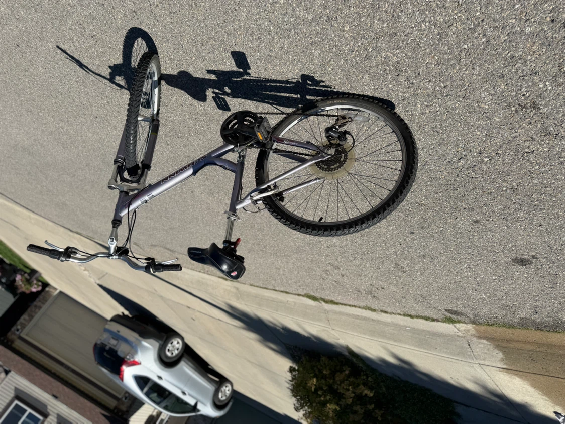 Schwinn Cruiser Bike - photo 3