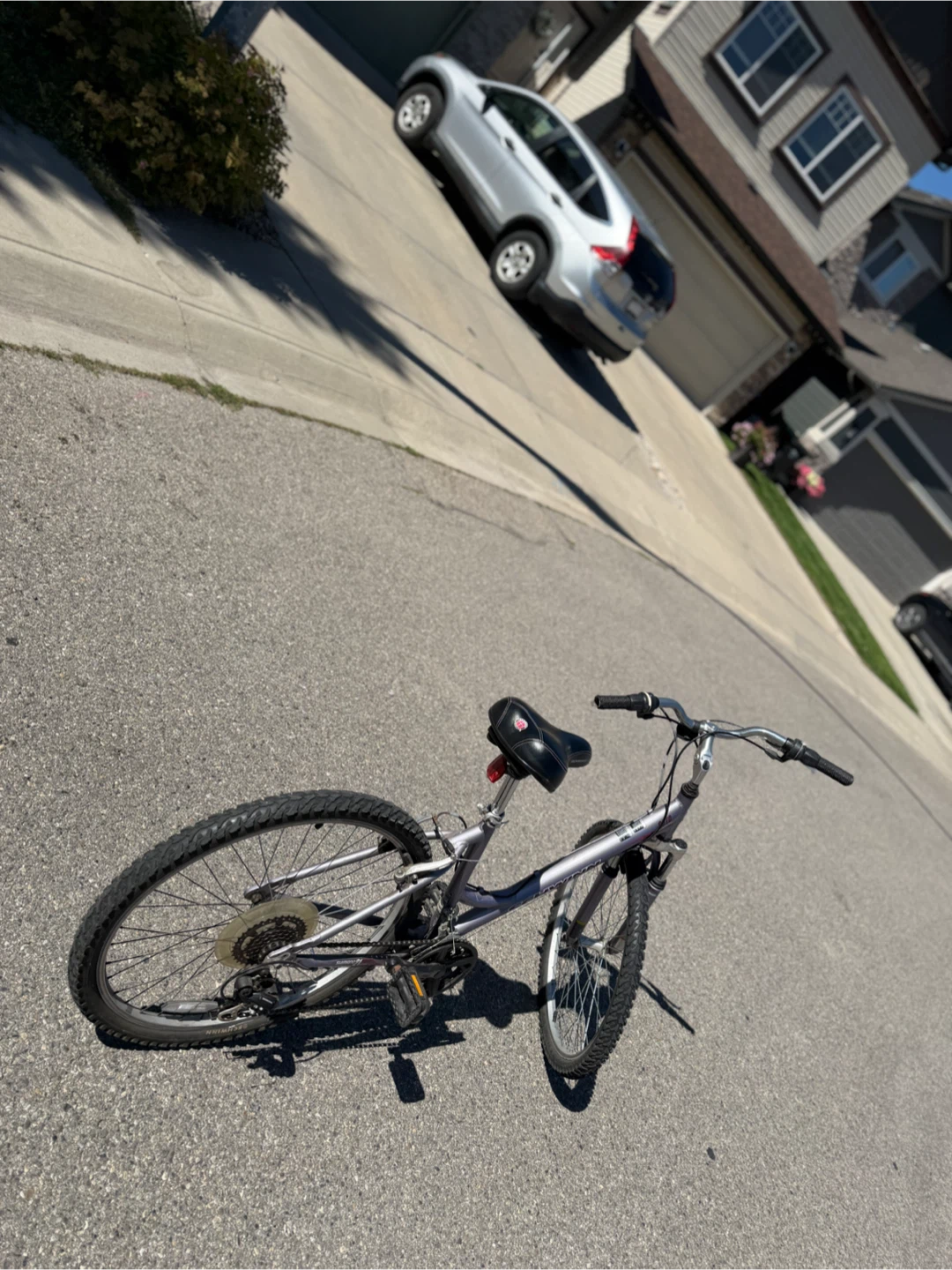 Schwinn Cruiser Bike - photo 4