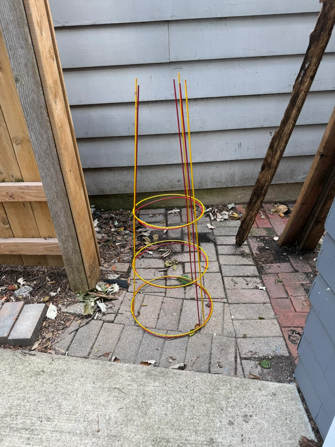 2 Tomato Cage Plant Support