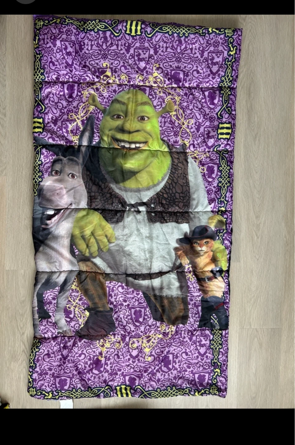 Shrek the Third Sleeping Bag