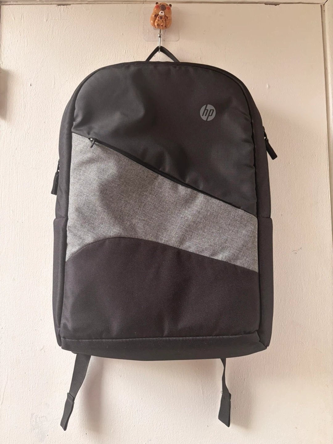 HP backpack