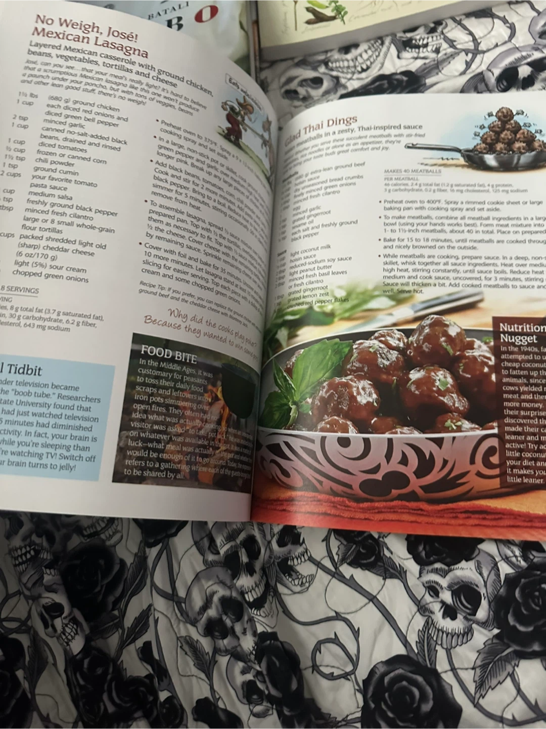 The Looneyspoons Collection Cookbook by Janet & Greta Podleski - photo 2