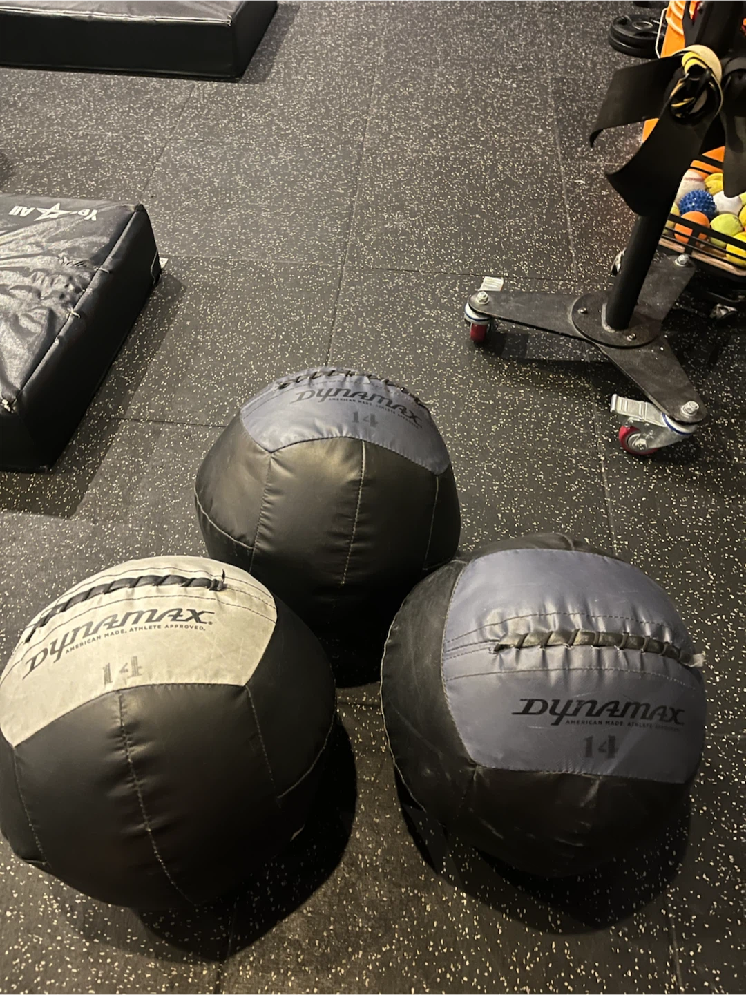 Dynamax 14lb Wall Balls (3-Pack)