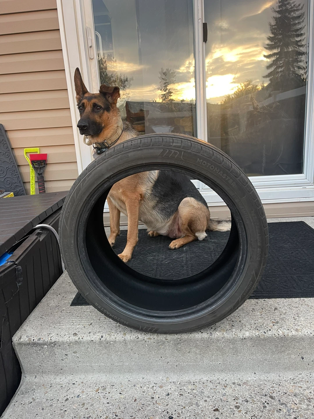 Motomaster Tire