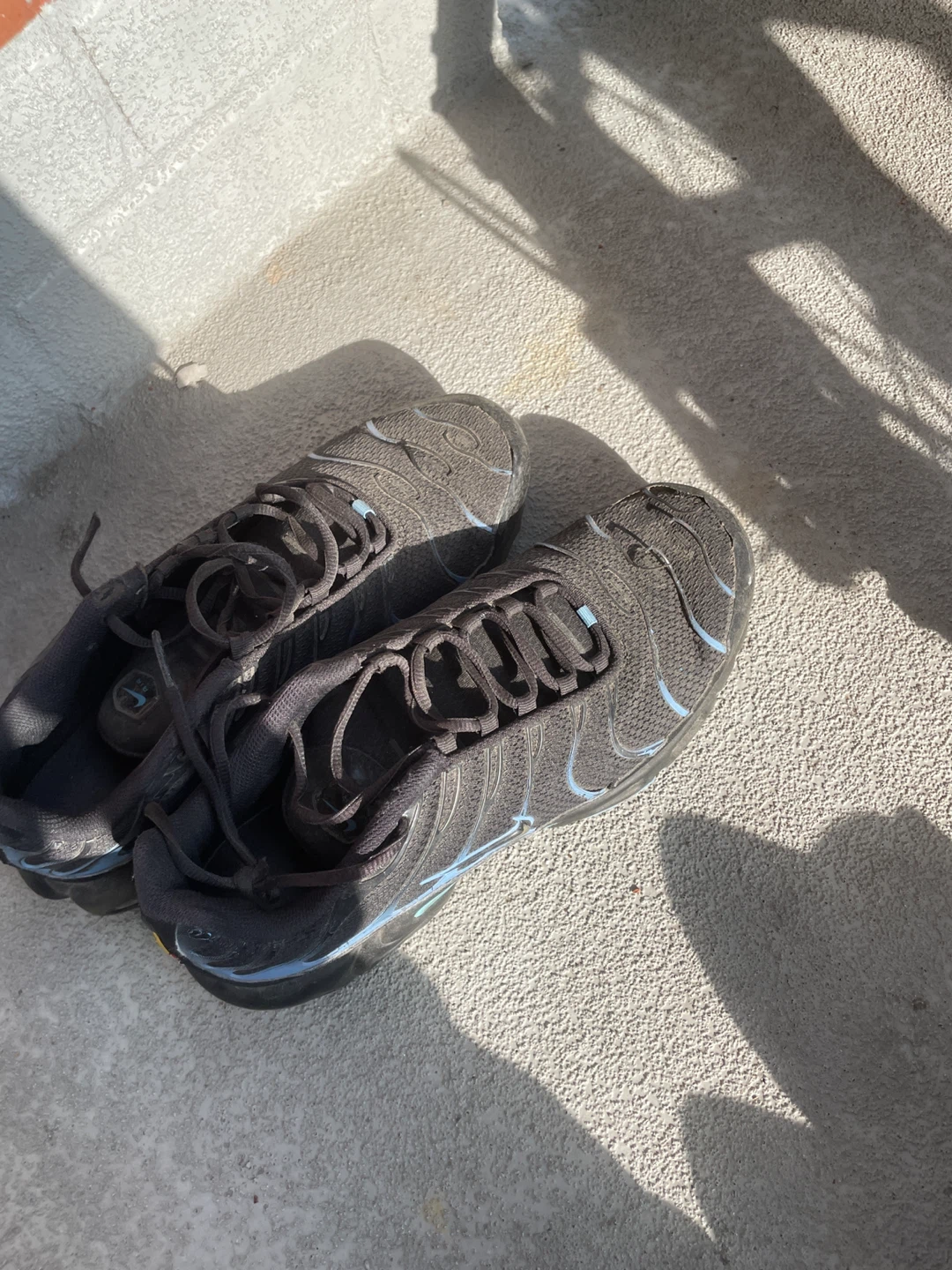 Nike Air Max Plus Shoes
