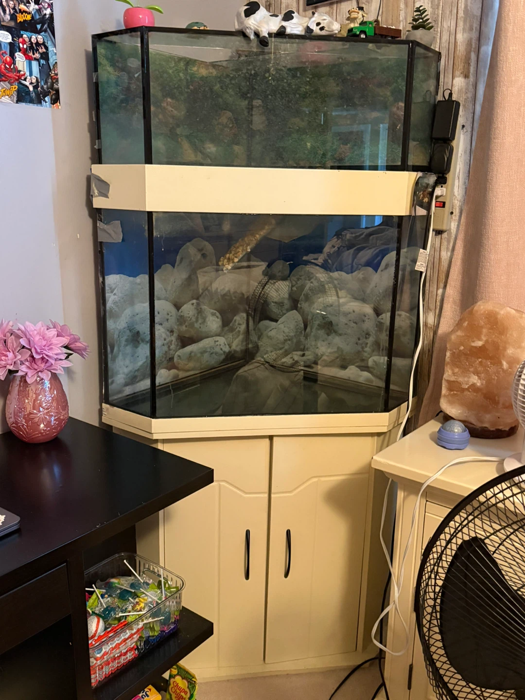 Aquarium + Custom Ramp on Stand — Approx. 75 Gallons