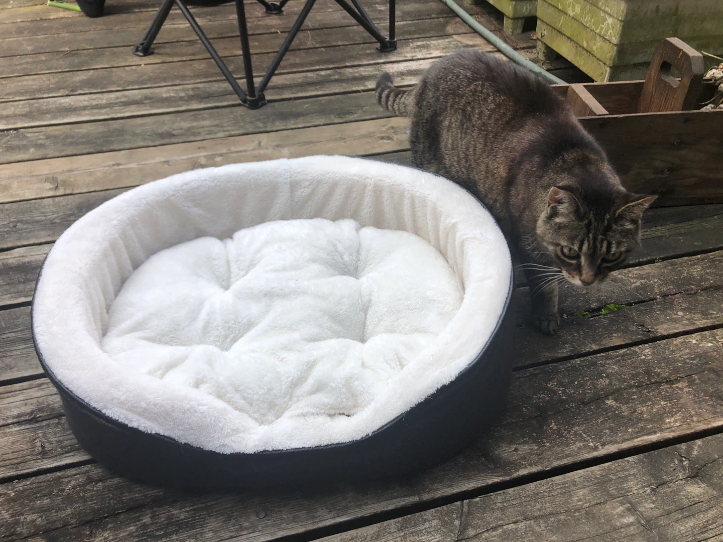 Pet bed