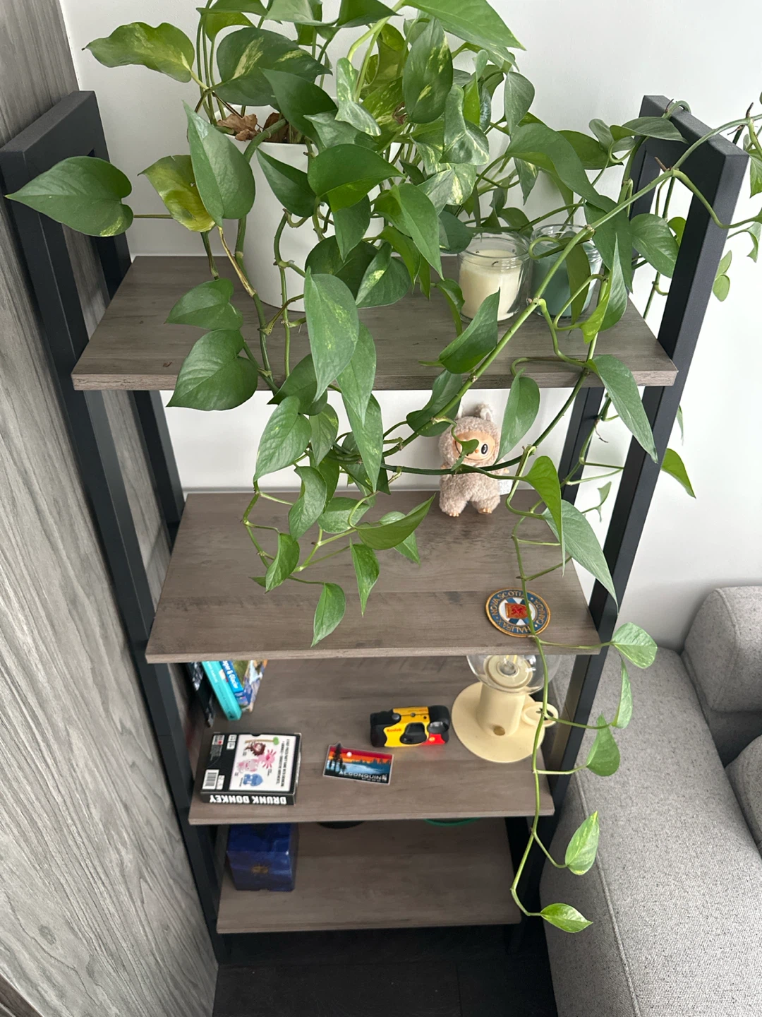 Bookshelve - photo 2