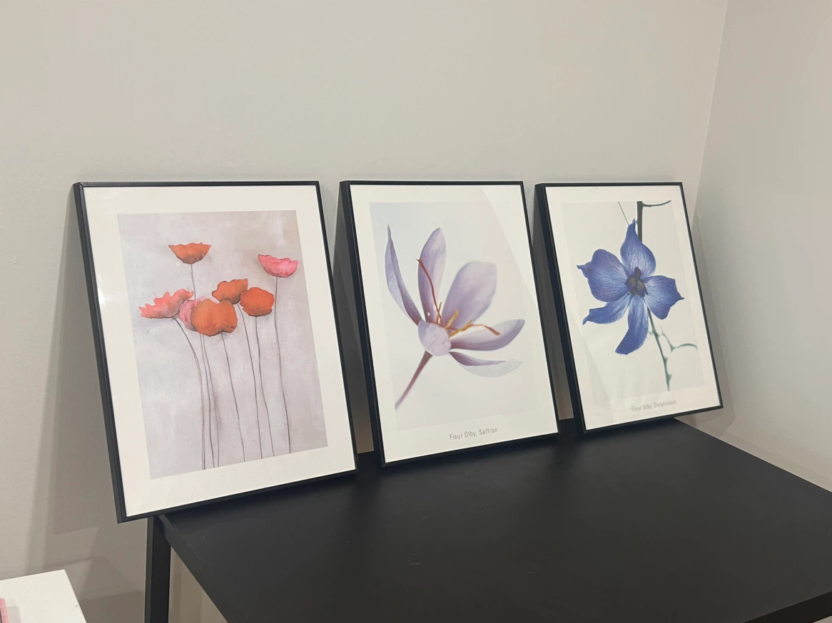 Set of 3 Framed Botanical Prints