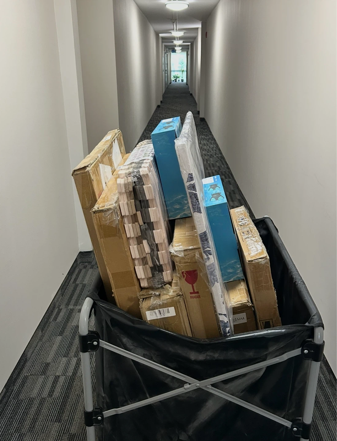 FREE: 4 LARGE MIRRORS,SNORKELS,PLAYMAT,CANVAS ART