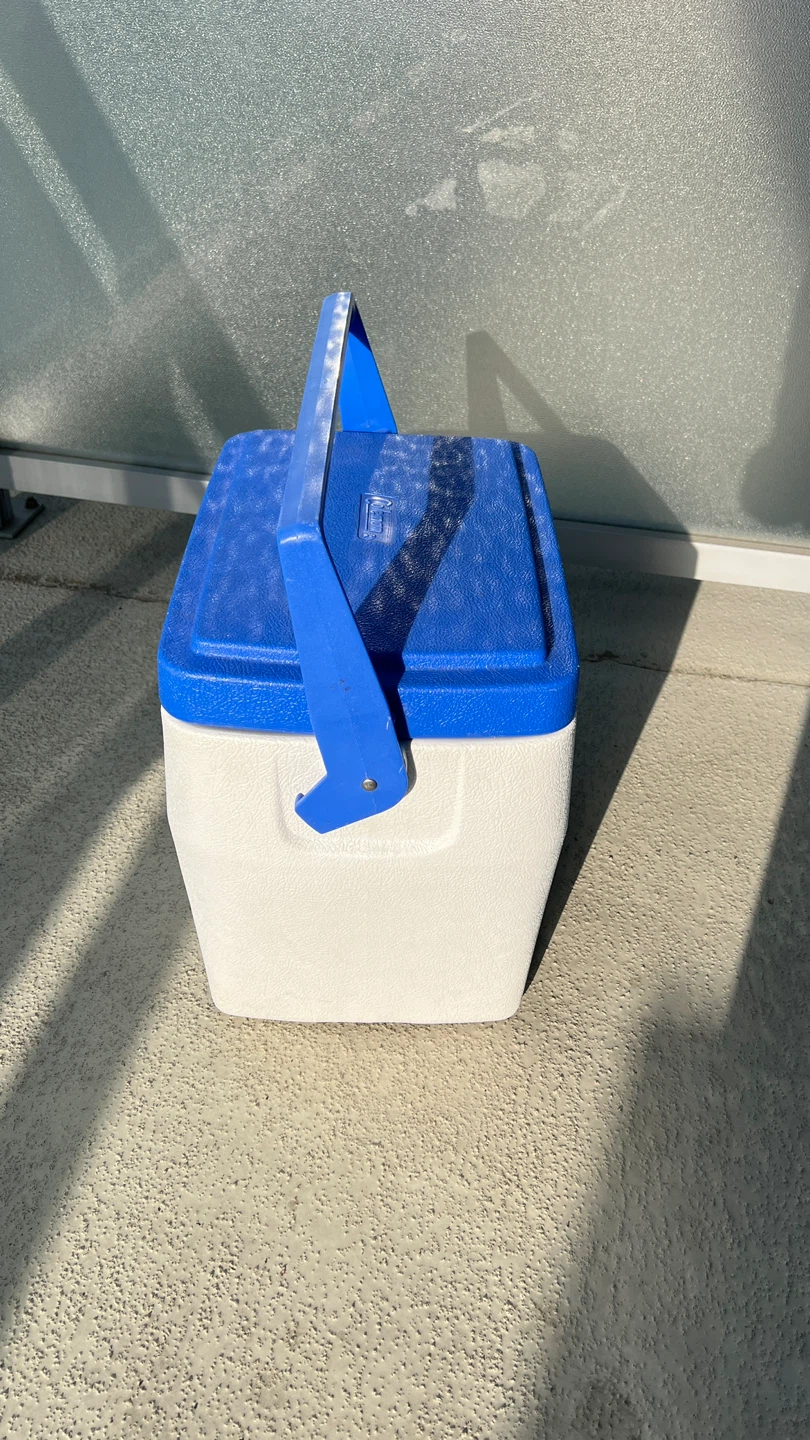 Vintage Coleman Personal 24 Q Hard Cooler - photo 2