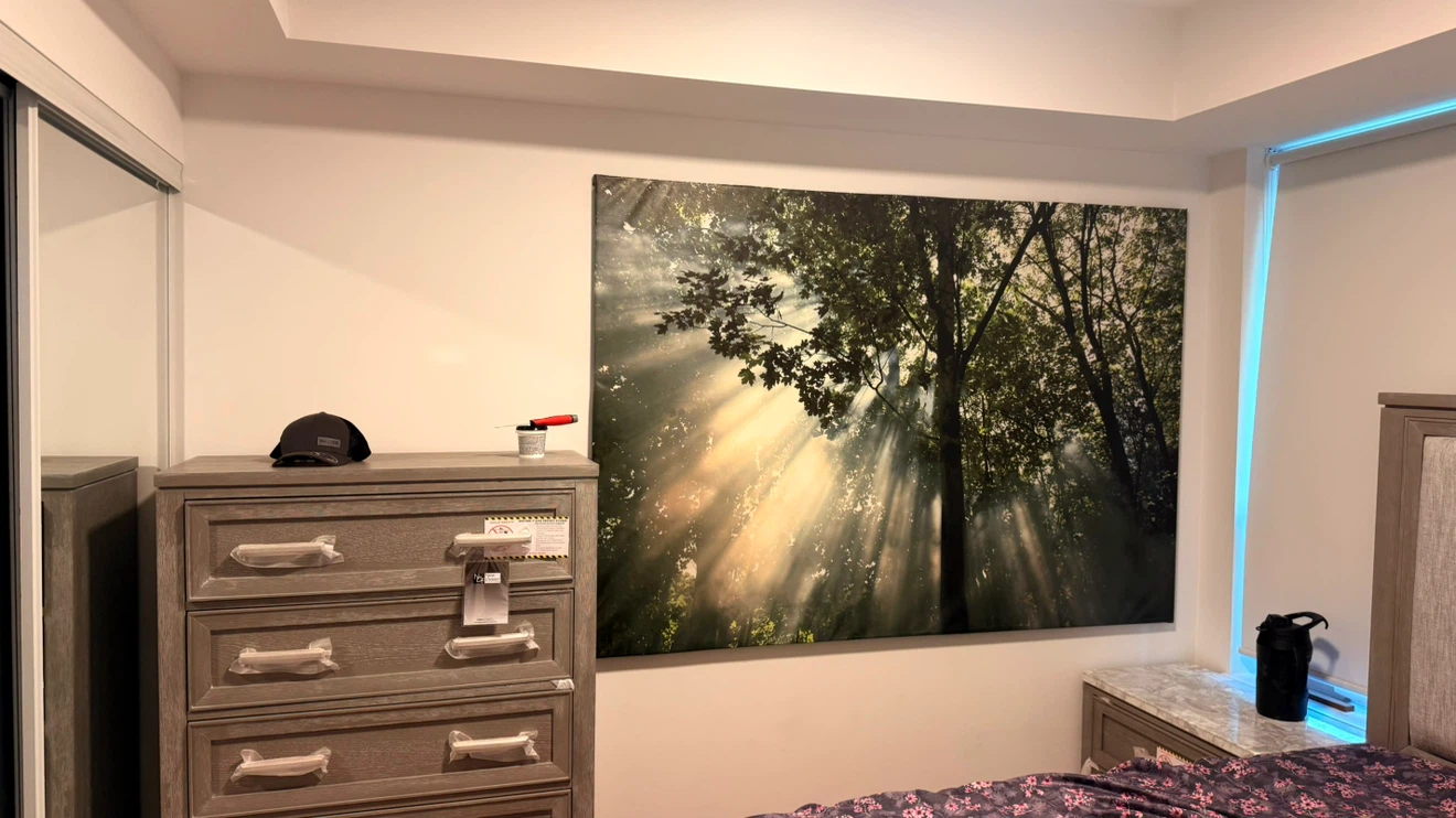 Forest Sunlight Wall Art Painting