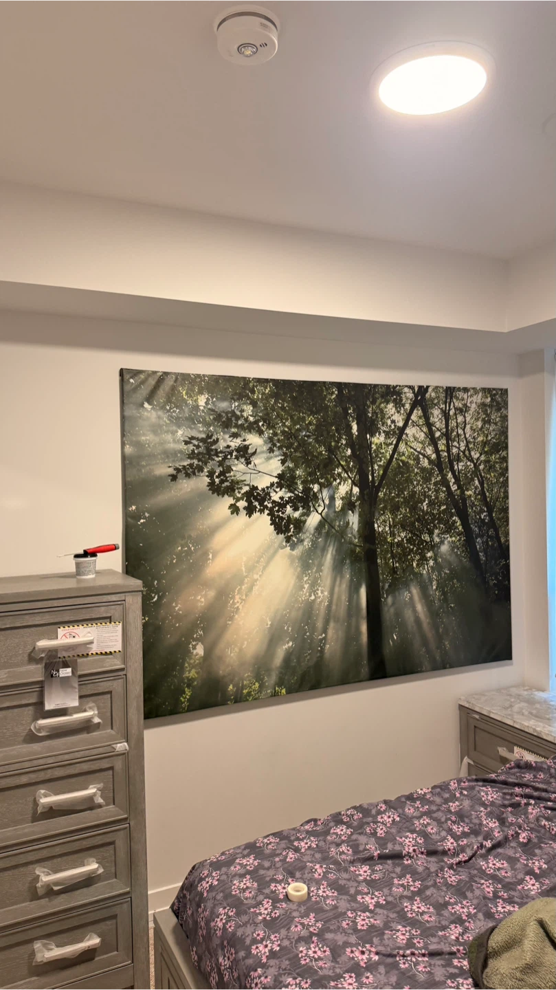 Forest Sunlight Wall Art Painting - photo 2