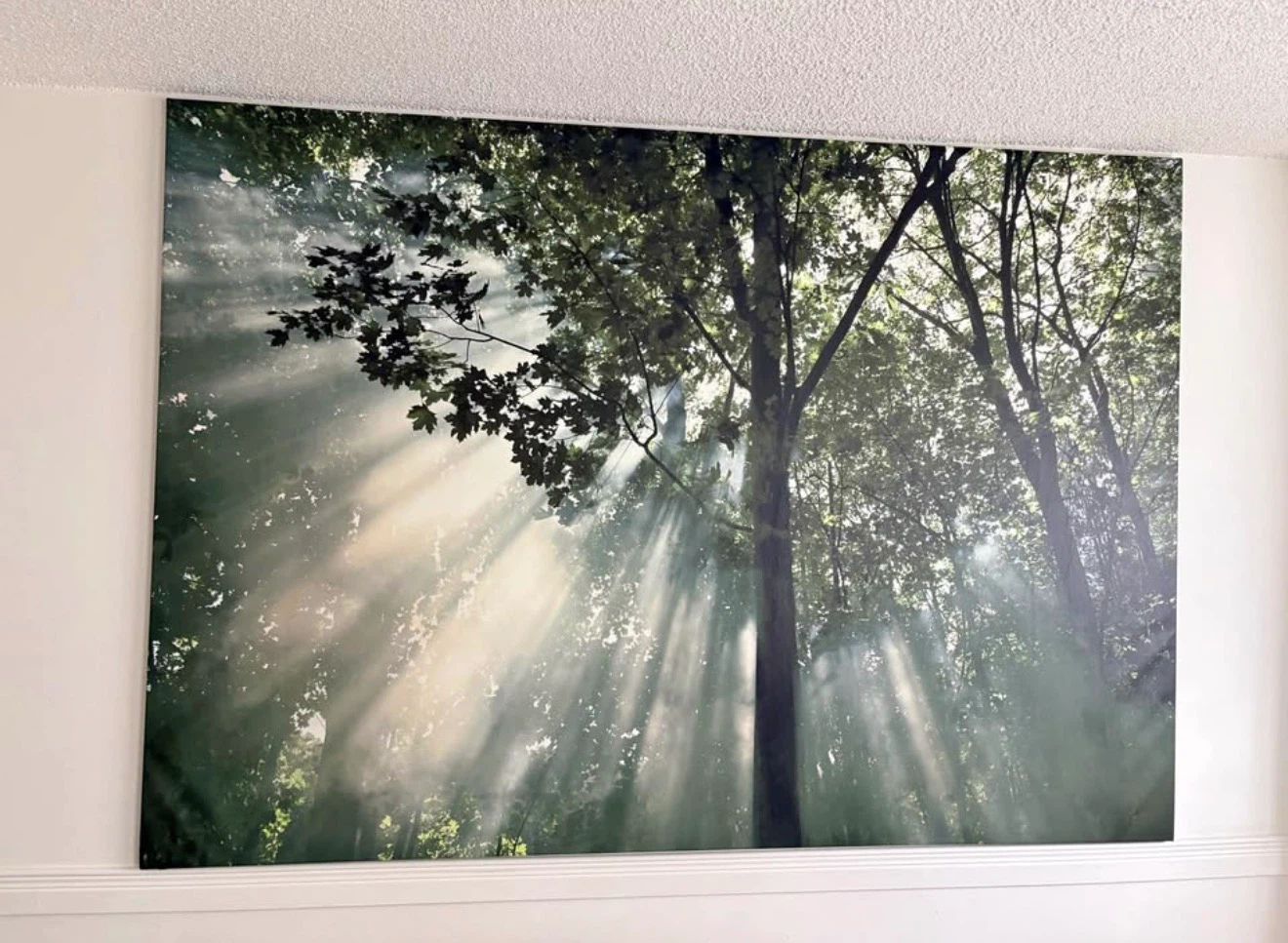 Forest Sunlight Wall Art Painting - photo 3