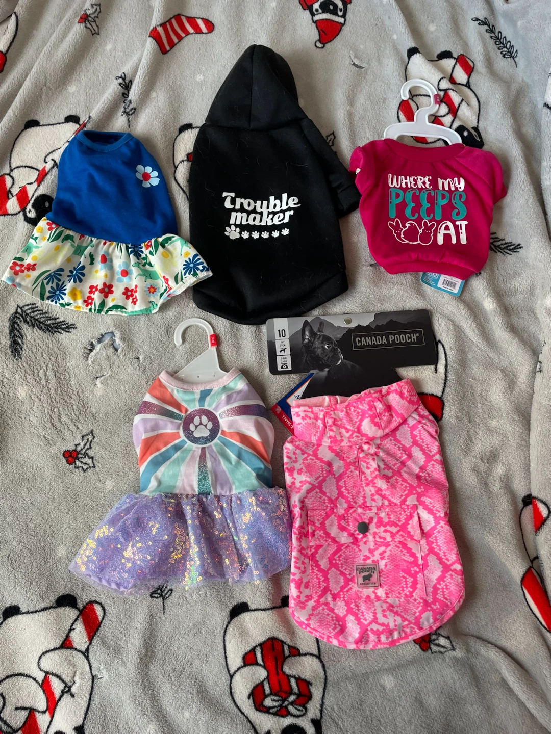 XS Dog Clothes Lot