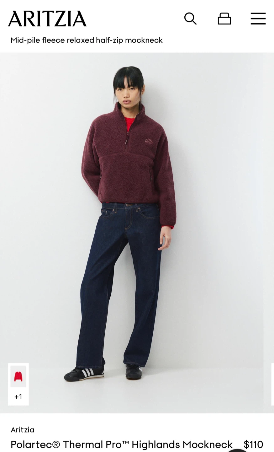 Aritzia Polartec Thermal Pro Highlands Mockneck